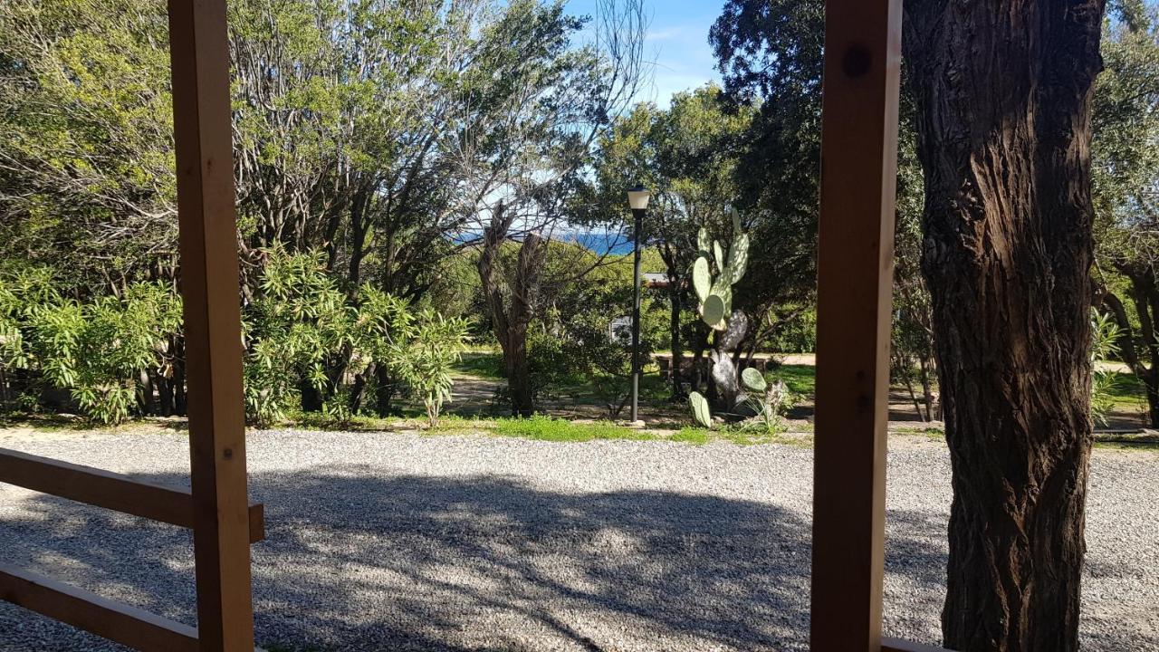 New Camping Coccorrocci Marina di Gairo المظهر الخارجي الصورة