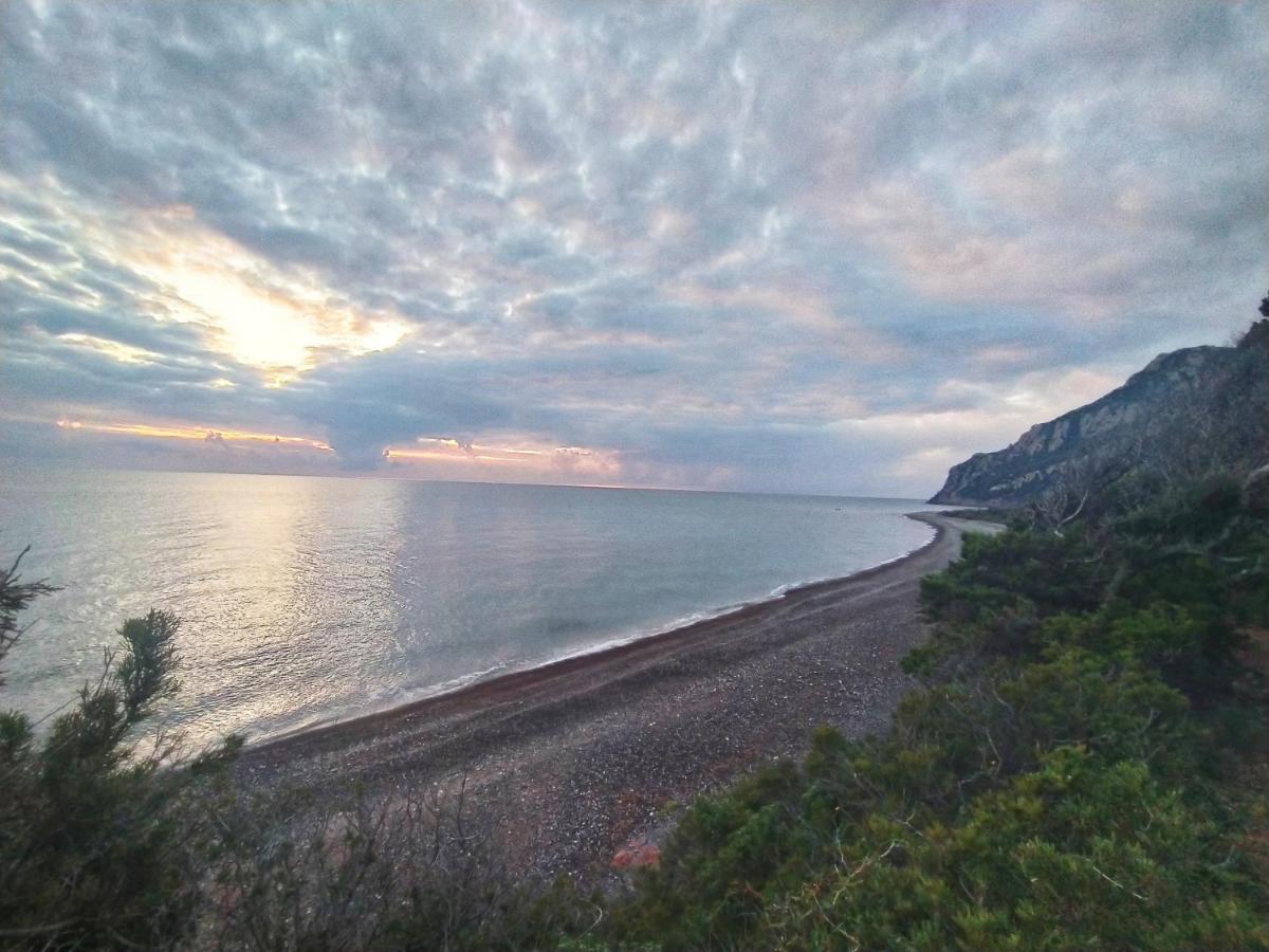 New Camping Coccorrocci Marina di Gairo المظهر الخارجي الصورة