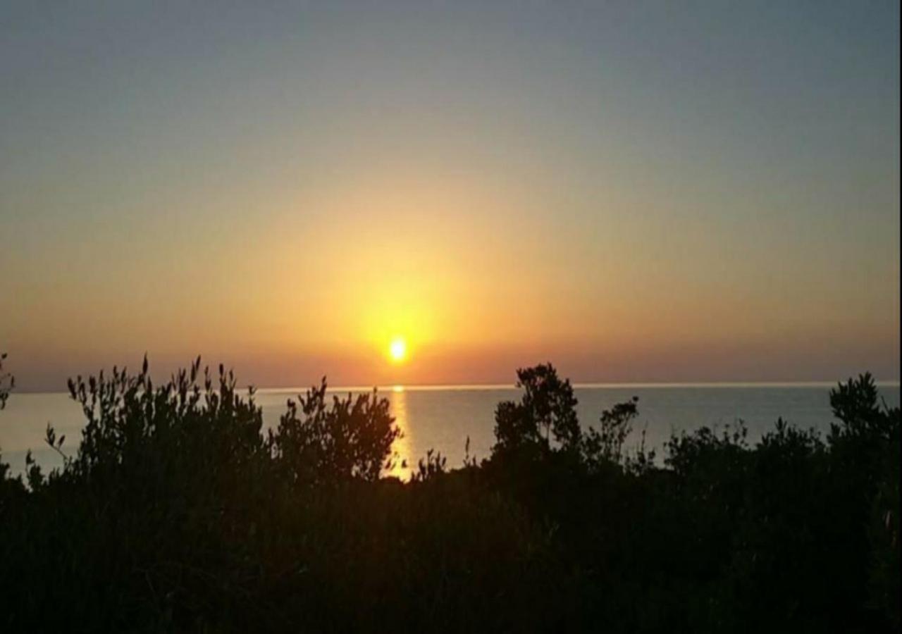 New Camping Coccorrocci Marina di Gairo المظهر الخارجي الصورة